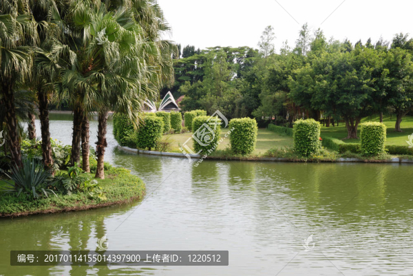 池塘