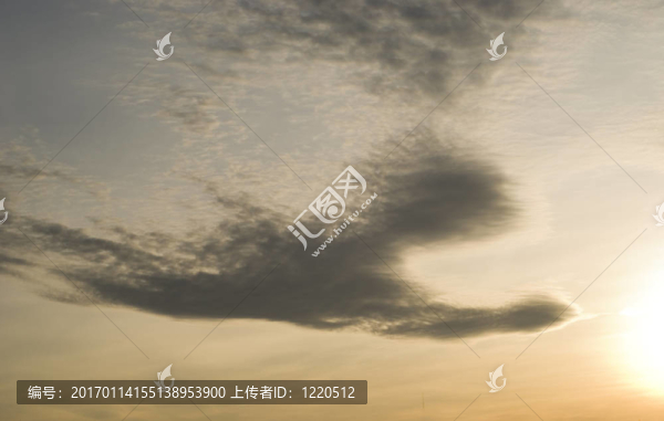 天空的鳥