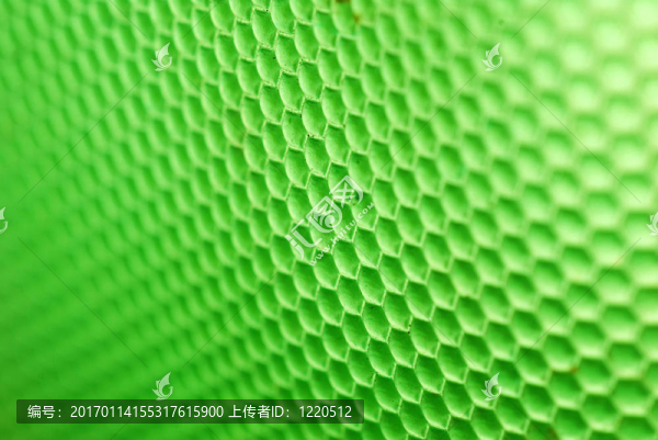 蜂蜂巢