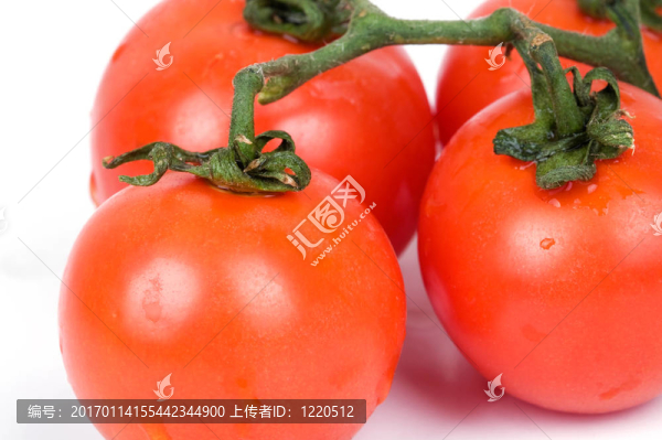 西紅柿