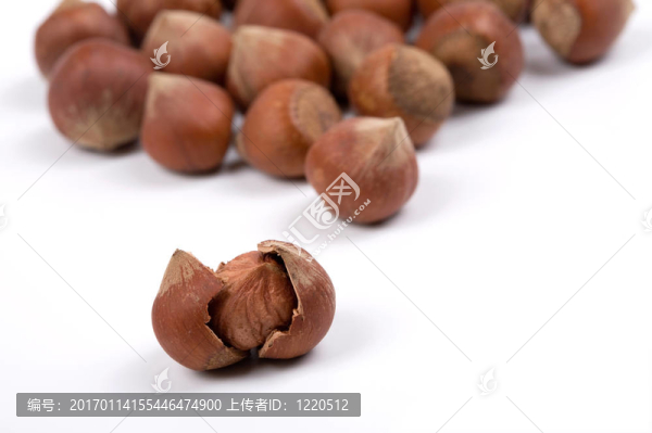 榛子