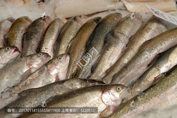 鱒魚在魚販