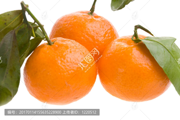 三橘子