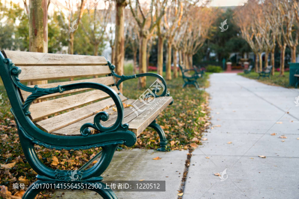 和平公園板凳在下午