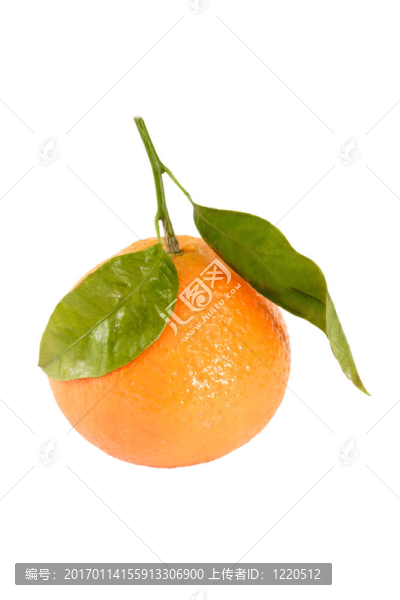 Tangerine夜店
