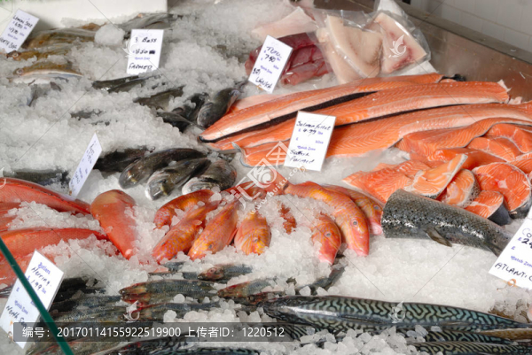 魚販的板