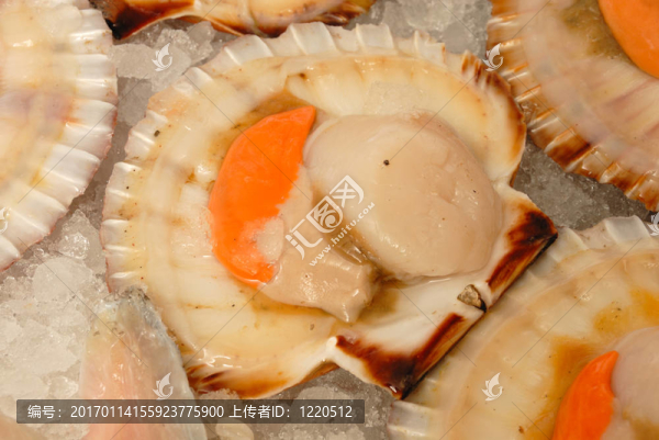 在魚販的扇貝