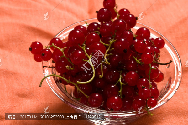 醋栗