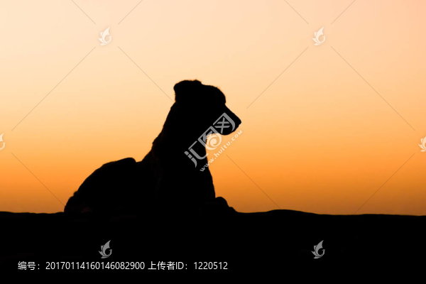 狗的剪影