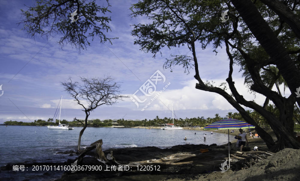 歐瑪陸在夏威夷的大島海灘