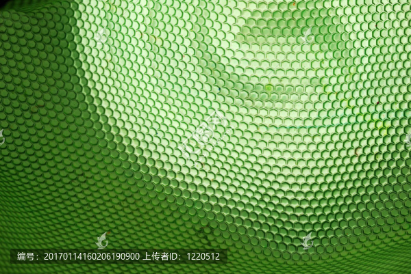蜂蜂巢