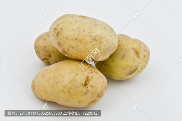 自然背景下的小土豆