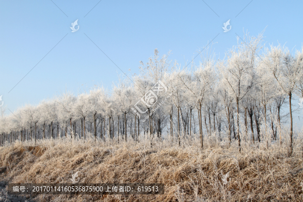 冬季霧凇美景