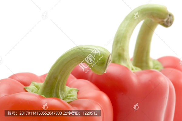 紅辣椒的宏