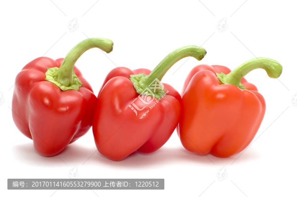 白紅辣椒
