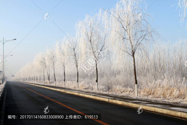 冬季霧凇美景