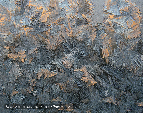 Frost模式