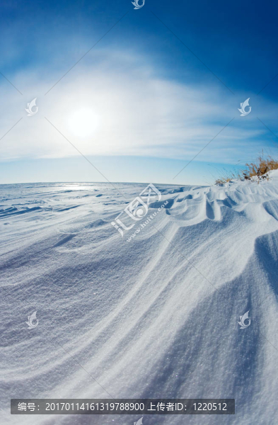 雪的沙丘