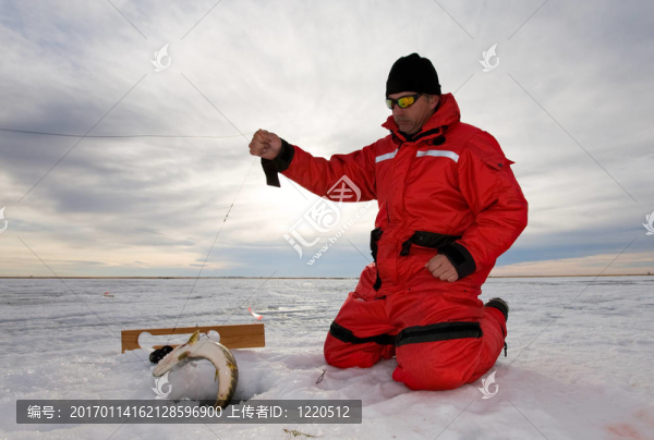 在冰上釣魚
