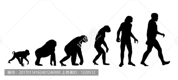 進(jìn)化