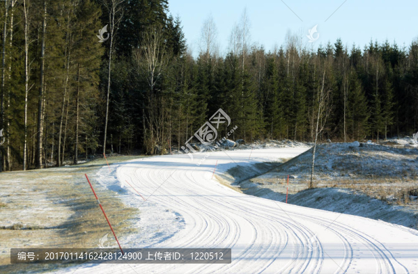有車輪軌道的雪道