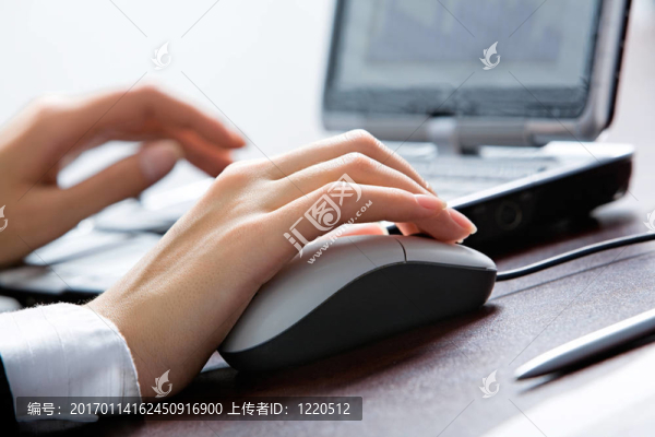 人類的雙手