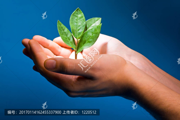 成長(zhǎng)主題-匯圖網(wǎng) www.fosd68.com 成長(zhǎng)主題