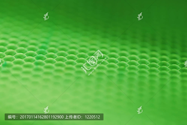 蜂蜂巢