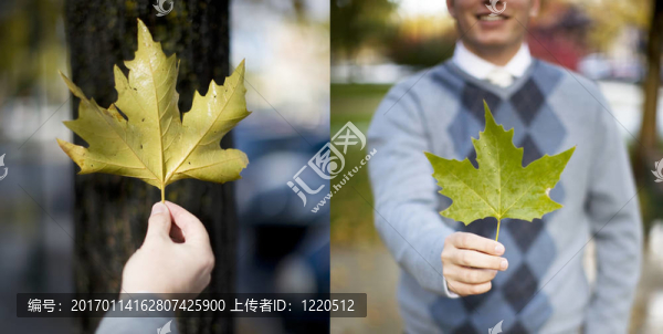 兩個(gè)人拿著葉