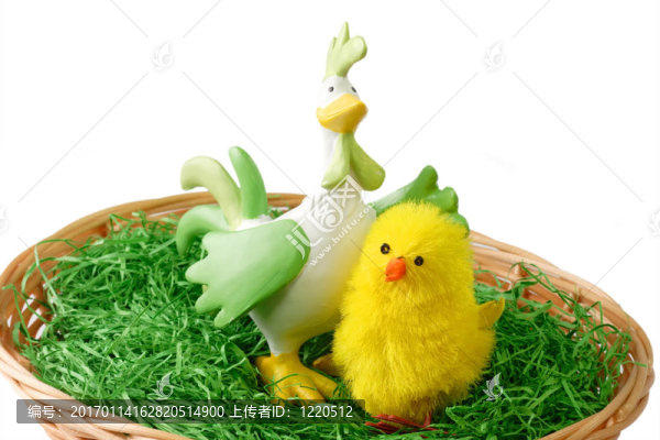 可愛(ài)的小鳥(niǎo)
