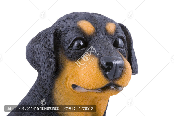 玩具小狗的頭