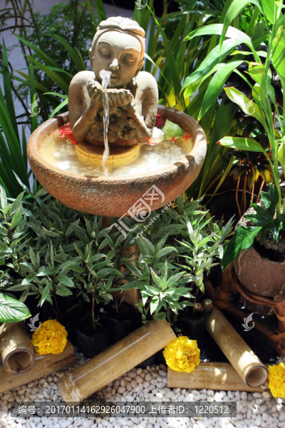 水上花園