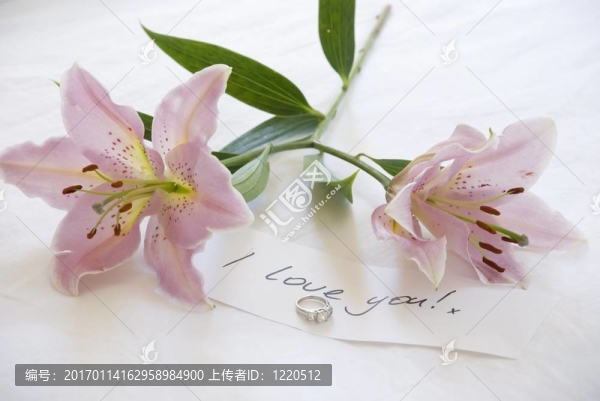 百合和愛