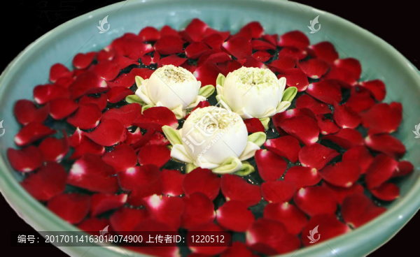 來自泰國的鮮花。