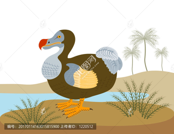 渡渡鳥