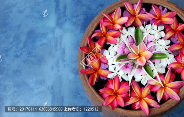浮花