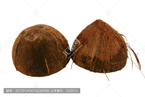 白色背景上的孤立的椰子兩半