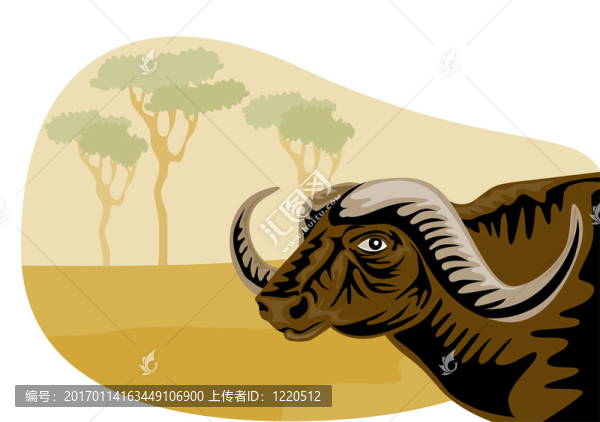 非洲水牛