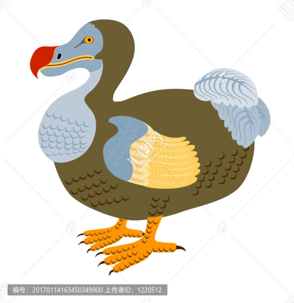 渡渡鳥的白