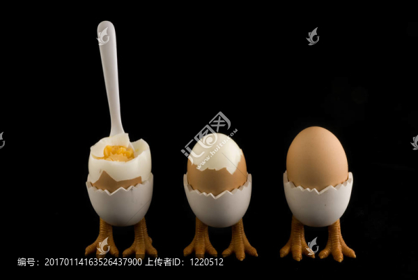 birdfeet雞蛋