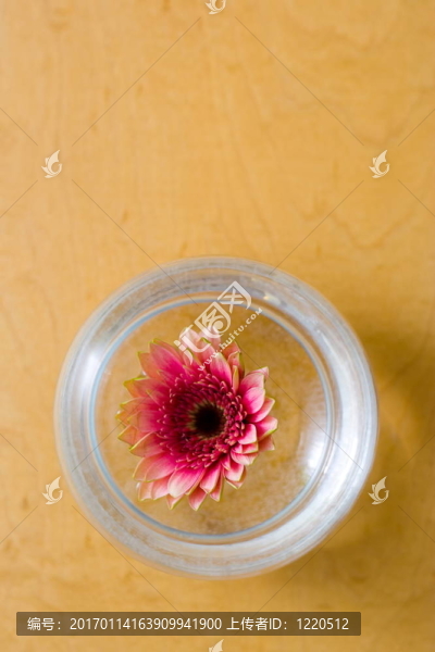 簡單的插花