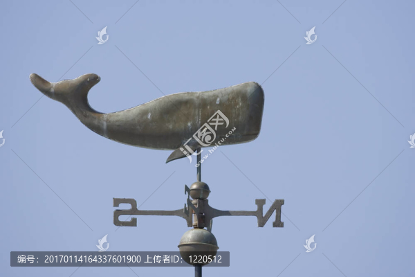 在一個(gè)天氣風(fēng)向標(biāo)上的鯨魚(yú)