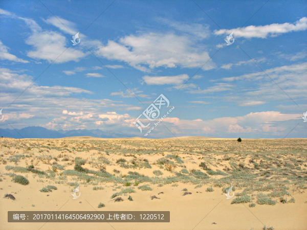 Chara,Sands。沙漠景觀。