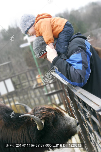 動物園里的小男孩