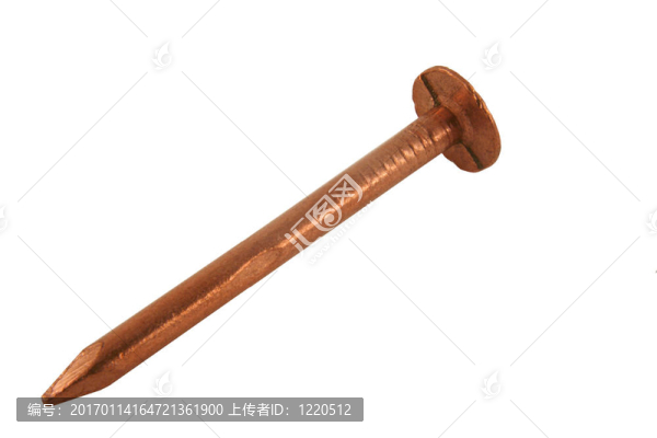 白色背景孤立的銅釘