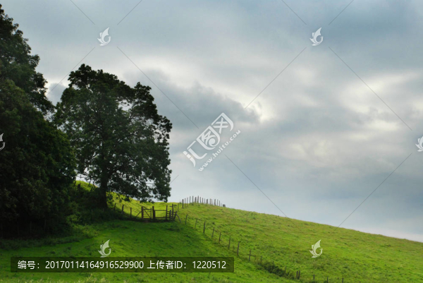 鄉(xiāng)村小路