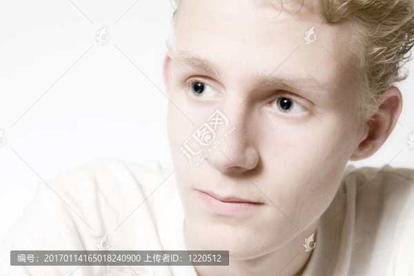 一個(gè)思想中的年輕人的畫像