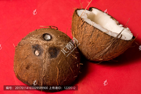 椰子