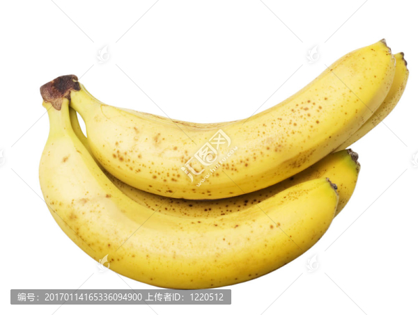 香焦-匯圖網(wǎng) www.fosd68.com 香焦