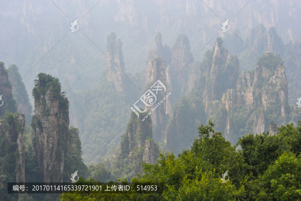 白霧中的張家界